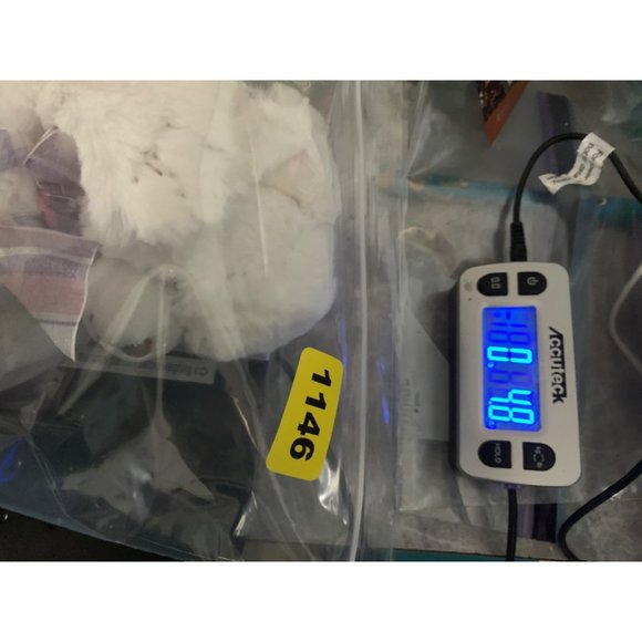 Dena NO 1784 First Main White Bear Plush Stuffed Animal Purple Pink Striped Ribb - Picture 12 of 12